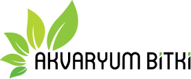 Akvaryum-bitki-logo